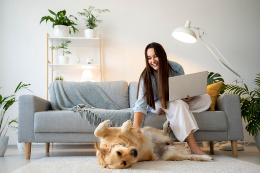 Practical Pet and Home Essentials That Don't Require a Big Budget